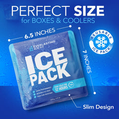 Everlasting Ice RX colocadas dentro de una lonchera, mantienen alimentos fríos
