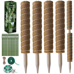Fabulas poste musgo frente con caja, soporte natural listo para usar