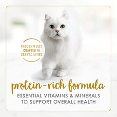 Fancy Feast lata en mano para comparar tamaño y control de ración
