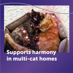 FELIWAY Optimum recambio lateral listo para instalar aporta soporte de hasta 4 semanas