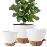 Fielda front view of 8,10,12 inch planters showing clean design and versatility