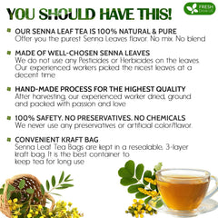 FreshDrinkUS detalle de hojas de Senna secas resaltando pureza natural