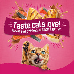 Friskies en plato listo para comer que aumenta el apetito del gato