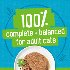 Friskies porción servida en plato listA para comer y estimular apetito
