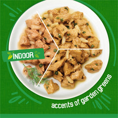 Friskies Chicken & Turkey servido en plato resaltando sabor avícola real