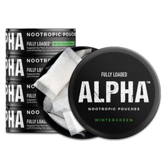 Fully Loaded Alpha vista frontal de la lata mostrando diseño y sabor wintergreen, ideal para transportar