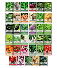 Gardeners Basics sobres etiquetados listos para sembrar y facilitar identificación