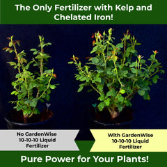 GARDENWISE gota de fertilizante líquido mostrando textura y rápida disolución en agua