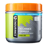 Gatorade Endurance frontal mostrando envase y beneficio rehidratación