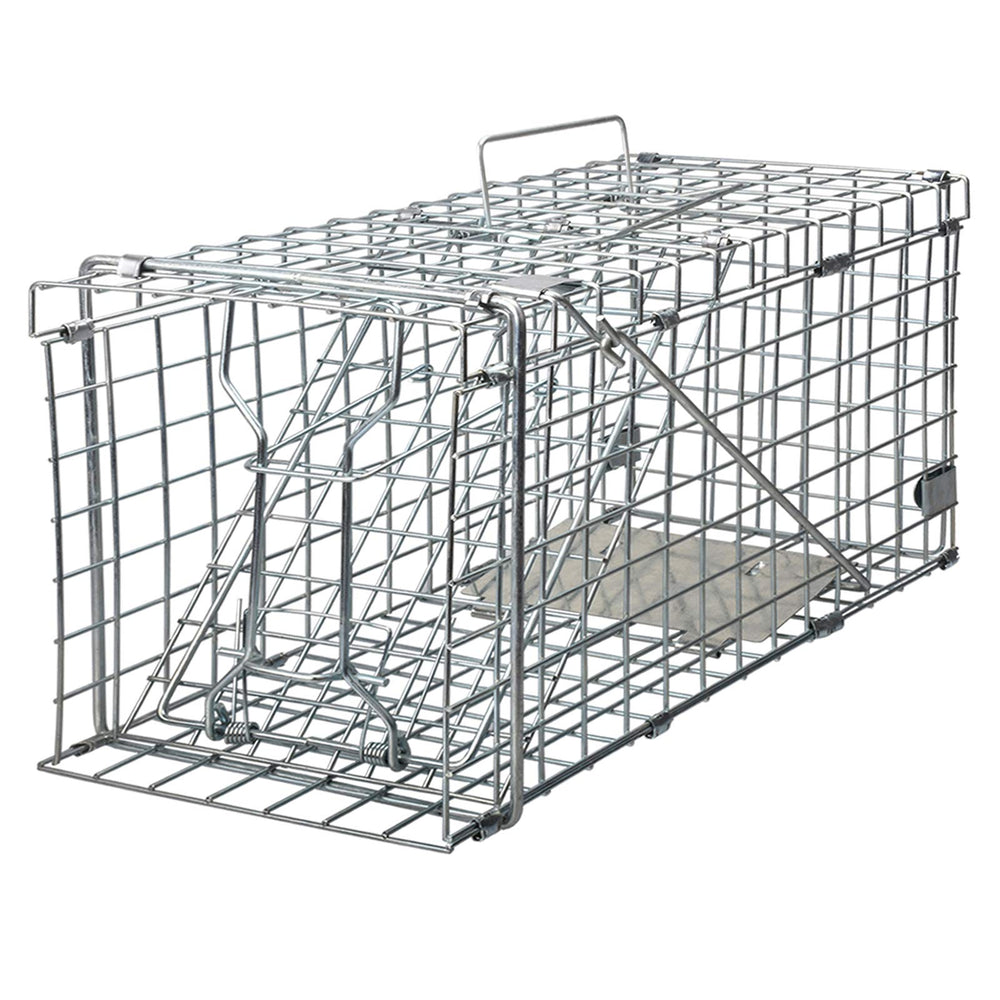 Gingbau front view open cage showing sturdy capture and easy access