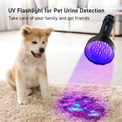 GLOSSDAY linterna UV en uso detectando alacrán, seguridad nocturna