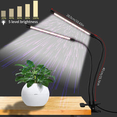 GooingTop primer plano de LEDs blancos y rojos mostrando espectro