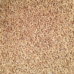 Grain Place Foods comparación de porción en taza enfatizando rendimiento y cantidad