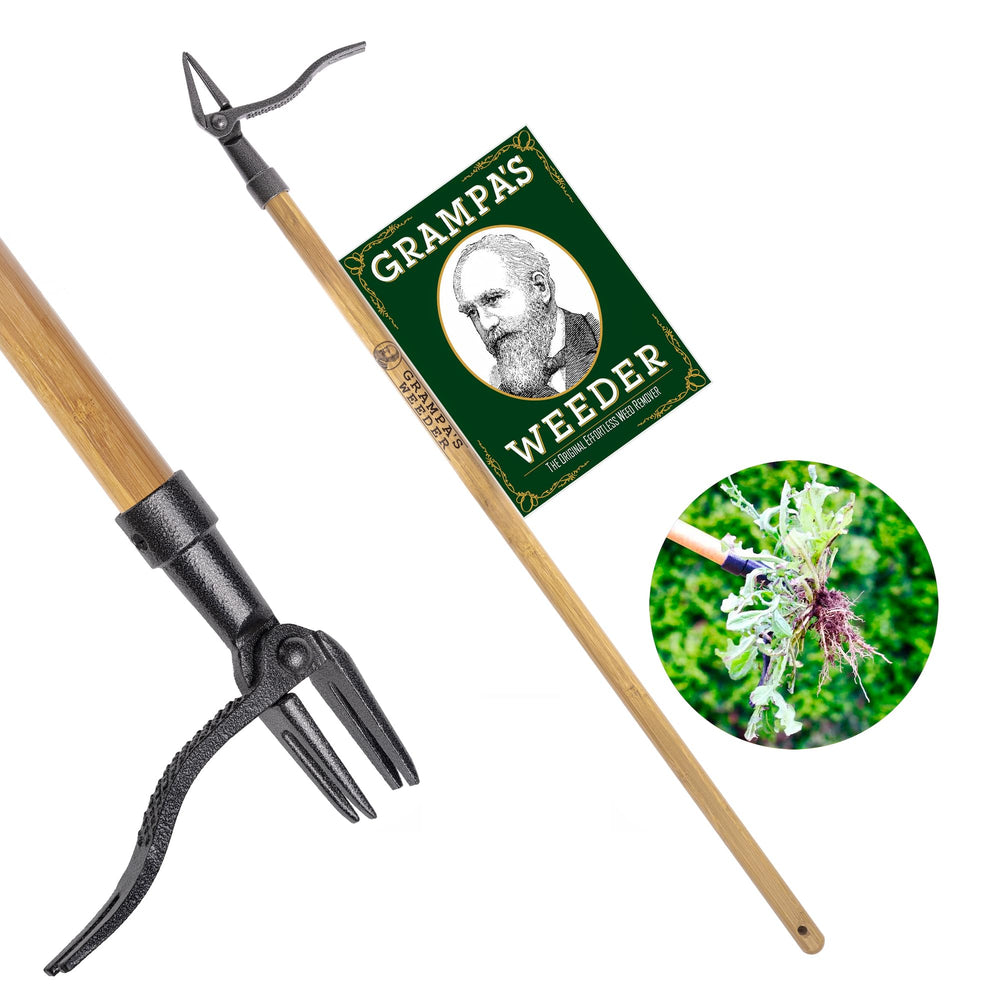 Grampa's Weeder front view showing full tool and bamboo handle for ergonomic weeding