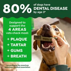Greenies premio en mano para mostrar escala ideal para cachorro pequeño