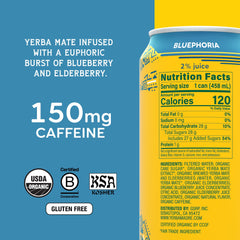 Guayaki lata Bluephoria mostrando etiqueta azul y sensación afrutada