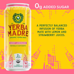 Guayaki Yerba Madre lata en mano para comparar tamaño y utilidad portátil