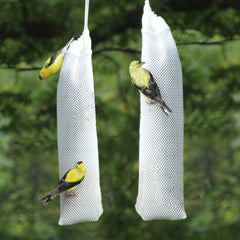 Happy Wings calceta colgada en rama atrayendo pinzones y aves