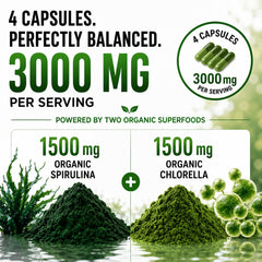 HCL HERBAL CODE LABS capsules on a ruler demonstrating compact, travel-friendly size