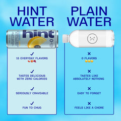 Lata Hint blueberry lemon en mano para mostrar tamaño y portabilidad