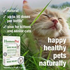 HomeoPet Feline Nose Relief administrándose a un gato mostrando comodidad y control