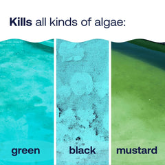 Etiqueta HTH Algae Guard Ultra enfocada en protección prolongada contra algas