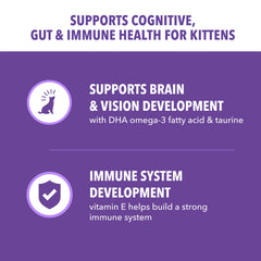IAMS bol servido con pienso de gatitos, apoya energía y crecimiento
