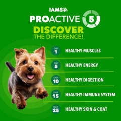 IAMS detalle de croqueta crujiente que muestra textura para limpieza dental