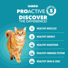 IAMS salmón real como ingrediente principal para proteínas saludables
