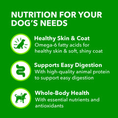 IAMS comida servida en plato demostrándola como comida completa para perros