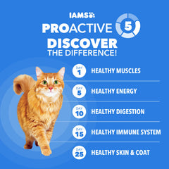 IAMS tazón con pienso servido que facilita raciones diarias