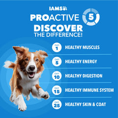 IAMS textura de croqueta en primer plano, favorece masticación y salud dental