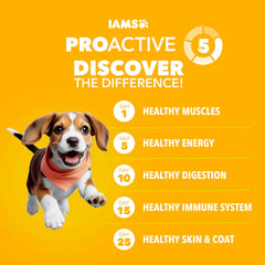 IAMS textura de croqueta en primer plano que favorece masticación y digestión