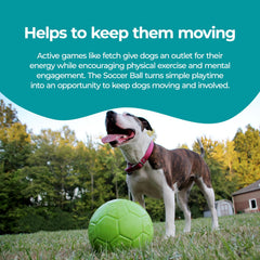 Jolly Pets ball with dog fetching in yard demonstrates energetic play and exercise benefits