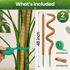 K-Brands detalle de fibra de coco que retiene humedad y favorece raíces