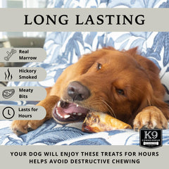 K9 Connoisseur comparación de tamaño para elegir hueso adecuado