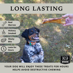 K9 Connoisseur perro masticando hueso, reduce aburrimiento y estrés