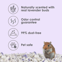 Kaytee brotes de lavanda reales que aportan aroma natural