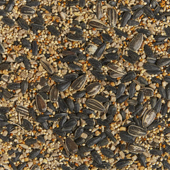Kaytee primer plano de textura de semillas, mezcla variada que atrae aves