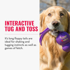 KONG Wubba perro grande tirando para jugar, estimula ejercicio interactivo