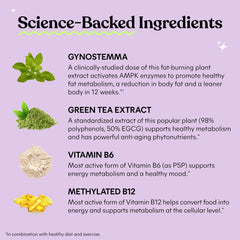 Envase con lista de ingredientes clave: Actiponin, té verde y vitaminas B