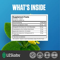 LES Labs cápsula junto a regla para comparación de tamaño