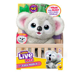 Little Live Pets Kiki vista frontal en su empaque, ideal para regalo