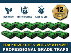 MaxGuard trampa colocada en esquina del salón atrapando insectos rastreros