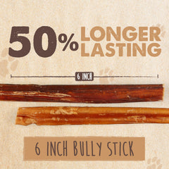 Mighty Paw perro masticando bully stick para entretenimiento saludable