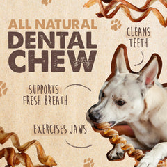 Mighty Paw textura cercana del bully stick mostrando superficie masticable