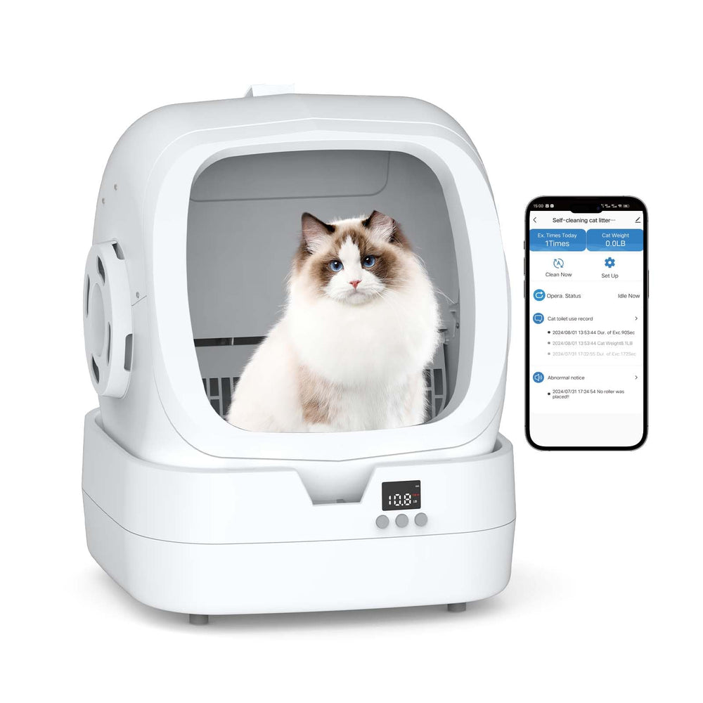 Mintakawa vista frontal del arenero blanco con entrada amplia y diseño moderno