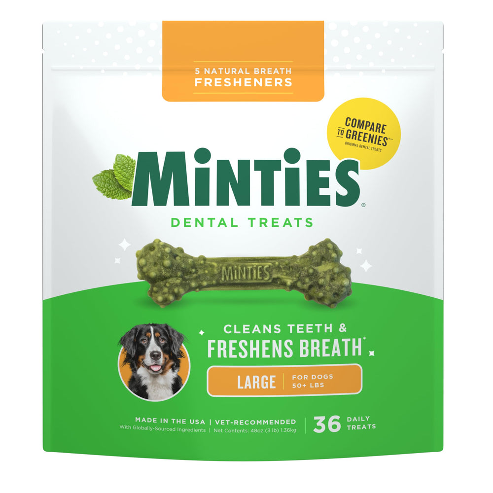 Minties paquete frontal mostrando 36 unidades y beneficios para limpieza dental