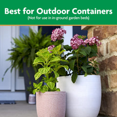 Miracle-Gro filled 12-inch container with healthy blooms and growth