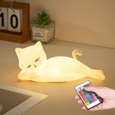Mubarek gato acostado frontal mostrando diseño adorable y luz cálida